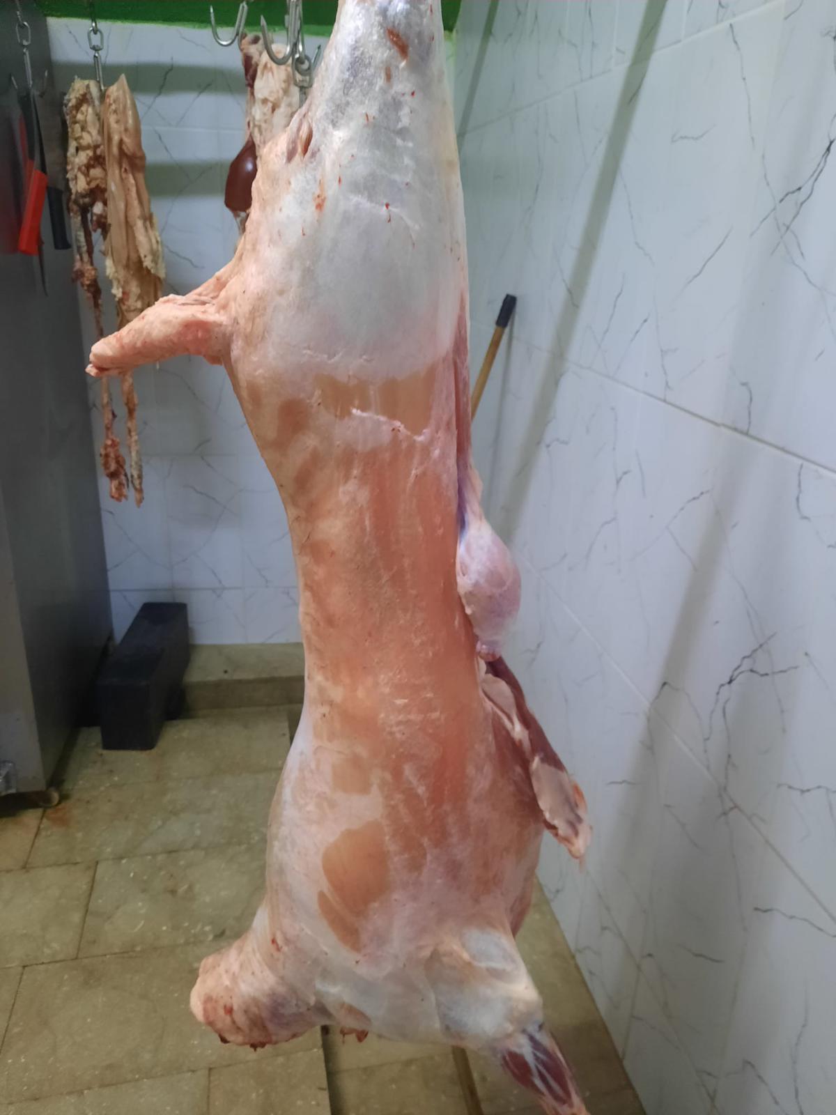 Sezer Adak Fotoğraf - 10